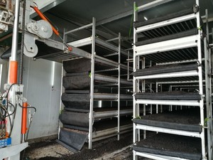 Nouveau filet de culture de champignons en polyéthylène noir réutilisable pour l'agriculture 2025, composants essentiels IoT PLC, 2500 microns, pour étagères de culture de champignons - Product Image 5