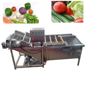 Multifunctional Vortex Fruit Cleaner Brush Fish Meat Cleaning Machine Ozone  Vegetable Washing Machine - China Fruit Cleaner, Fish Cleaning Machine