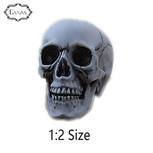 パーティー用の小さな人間の樹脂スカルヘッドモデル - Product Image 3