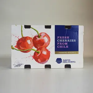 Selling Cherry Mushroom Citrus Die Cut Carton Packaging Box