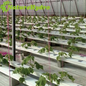 Hệ Thống Thủy Canh Đứng Nft Chất Lượng Cao Phương Pháp Trồng Ớt Ống Pvc Vuông - Product Image 1