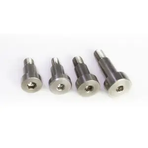 High Precision 18-8 Stainless Steel Shoulder Bolt Stripper Bolt