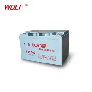 <span class=keywords><strong>Batterie</strong></span> <span class=keywords><strong>de</strong></span> tricycle électrique à <span class=keywords><strong>traction</strong></span> électrique <span class=keywords><strong>12v</strong></span> 60ah Deep Cycle Vrla Agm Ev - Product Image 1