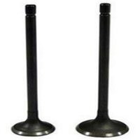 Piezas de Motor para Motocicleta Haojue Haojin Euromot Genesis Zanella HJ125-7 HJ125-7A Hj125t HJ125, Válvula de Motor de Admisión y Escape