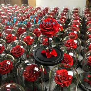 Japan Fabriek Ifan Bloem Bewaarde Real Rose Bloem In Glas Dome Beste Kwaliteit