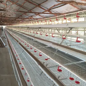 נהדר חוות בשר פטם מערכת כלוב עוף למכירה