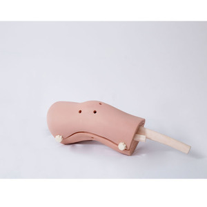 Modelo de artroscopia de rodilla para Médico General GD/LV75 - Product Image 1