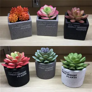 wholesale bonsai artificial succulent plants potted Artificial Succulent Plant concrete pot Set for decoration