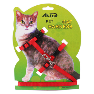 Collier pour chien gratuit pour <span class=keywords><strong>chiens</strong></span> et chats, accessoires, harnais avec laisse, harnais pour chat love pet - Product Image 2