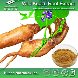 Pueraria puro extrato <span class=keywords><strong>Puerarin</strong></span> <span class=keywords><strong>60%</strong></span> -- 99%, Isoflavonas 40% Kudzu extrato - Product Image 5