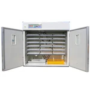 Incubadora automática de ovos de galinha, JF-1584 ovos para cortar ovos de galinha (whatsapp:0086-18953481991)