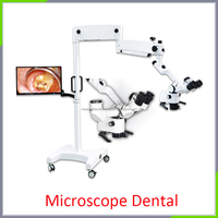 High Quality Microscope with Binocular Used for ENT & Dental