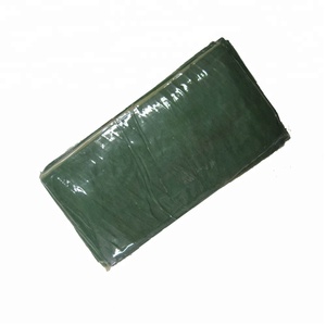 البرية الطبيعية موز طازج يترك - Product Image 5