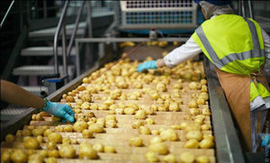 Ligne de production de chips de pommes de terre entièrement automatique de qualité supérieure / machine à fabriquer des chips de pommes de terre fraîches / machine à faire des frites surgelées - Product Image 5