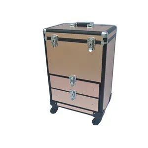 Bestseller Make-Up Trolley, Reise Gepäck Kosmetische Veranstalter, OEM/ODM Roll Zug Fall