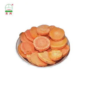 High vitamin hot-selling vegetable freeze dried carrot slice China vegetable snack