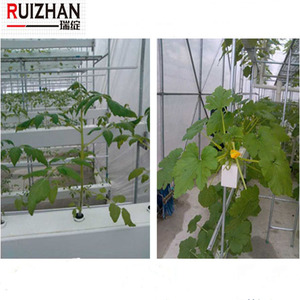 Nft idroponica grondaie sistema nft <span class=keywords><strong>canalone</strong></span>/crescere/vassoi - Product Image 6