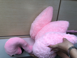 Campione gratuito rosa 65cm 120cm 150cm <span class=keywords><strong>peluche</strong></span> <span class=keywords><strong>di</strong></span> <span class=keywords><strong>peluche</strong></span> giocattoli fenicotteri <span class=keywords><strong>di</strong></span> Design personalizzato roba <span class=keywords><strong>fenicottero</strong></span> giocattoli morbidi OEM <span class=keywords><strong>fenicottero</strong></span> personalizzato - Product Image 5