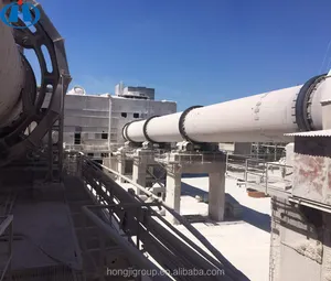 High Efficient Reduction Rotary Kiln Equipment Pozzolan White Cement Production Line