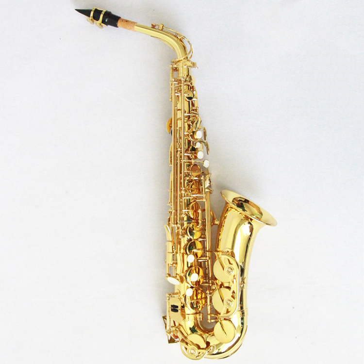 Gold Lacquered