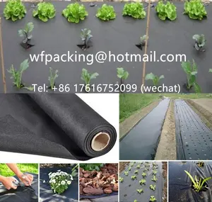 High Quality 100gsm Weed Control Mat Pe Pp Woven Ground Cover