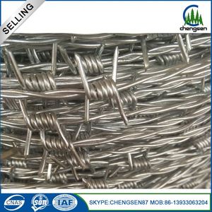 Pvc recubierto <span class=keywords><strong>de</strong></span> <span class=keywords><strong>alambre</strong></span> <span class=keywords><strong>de</strong></span> púas <span class=keywords><strong>de</strong></span> hierro tipo <span class=keywords><strong>puma</strong></span> - Product Image 6