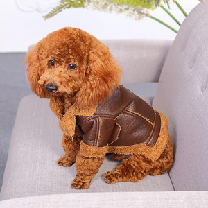 Wholesale Cute <strong>Leather</strong> Pet <strong>Dog</strong> Clothes,<strong>leather</strong> <strong>Jacket</strong> Style <strong>Dog</strong> Clothes,pet Puppy <strong>Dog</strong> Clothes Cartoon Animal Sustainable 25-35cm - Product Image 5