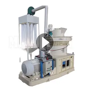 Ring Die Type Rice Husk Biomass Sawdust Wood Pellet Machines With Factory Price