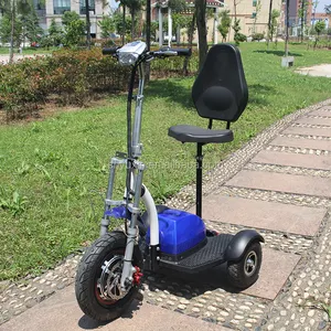 Patinete eléctrico de 3 ruedas para adultos, para discapacitados, aprobado por la CE, 2019