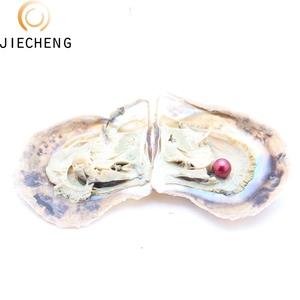 35 <strong>Dyed</strong> Akoya 6-8mm <strong>Freshwater</strong> Cultured Oysters With Akoya <strong>Pearls</strong>,Vacuum Packaged Oyster Perlas <strong>Wholesale</strong>
