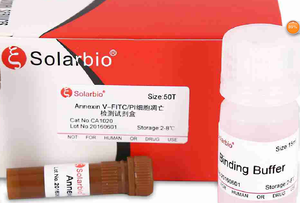 Annexin V-FITC/PI Apoptoz Algılama Kiti - Product Image 3