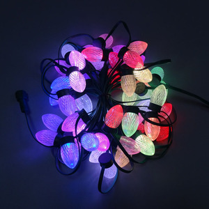 <strong>Best</strong> Quality Good Price WS2811 DC12V 2PCS Outdoor LED <strong>Christmas</strong> <strong>Light</strong> - Product Image 2