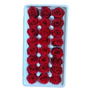 Mini preserved rose 2-3cm real rose flower make gift box