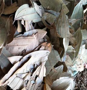 Hojas de Laurel Indio Secas Naturales, Tejpat Malabathrum, <span class=keywords><strong>Cinnamomum</strong></span> Tamala - Product Image 4