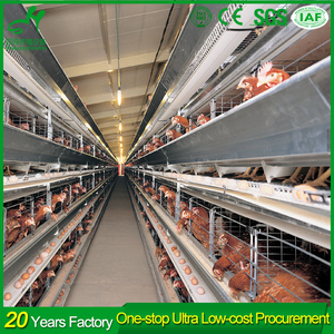 Caliente galvanizado <span class=keywords><strong>jaula</strong></span> de aves de corral automática huevo <span class=keywords><strong>gallinero</strong></span> diseño por capas - Product Image 3
