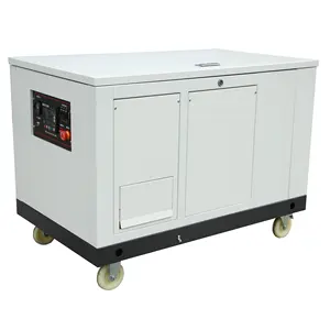 KONGKA 25kw 30kva 380v 공기 냉각 침묵하는 LPG 천연 가스 발전기