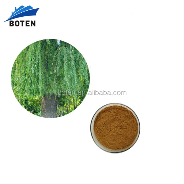 Good price white willow bark extract salix alba With Good Quality