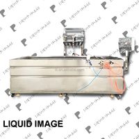 Réservoir de trempage hydraulique semi-automatique de 3 mètres NO. Film d'impression par transfert d'eau LYH-WTPM052-1