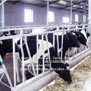 Cerraduras automáticas para cabezas de vaca en paneles Valla de casillero de granja de vacas 75cm por cabeza - Product Image 1