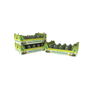 Venta al por mayor frutas limón mangos tomate corrugado caja de embalaje - Product Image 3