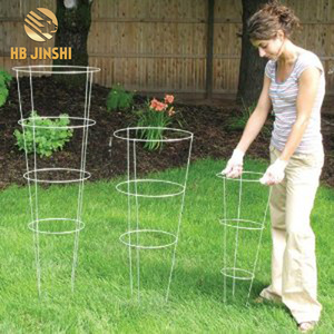 30"x18" <strong>Metal</strong> Cone Galvanized Tomato Cage <strong>Plant</strong> <strong>Support</strong> - Product Image 6