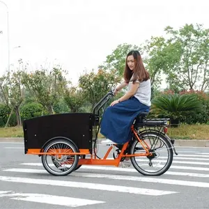 Bicicleta de carga de tres ruedas para venta Triciclo de tres ruedas para adultos bicicleta de carga eléctrica almacén de Europa stock