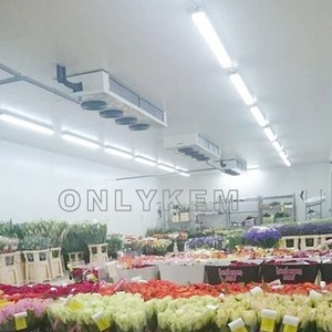 Flor de la sala de almacenamiento en frío con precio bajo - Product Image 1
