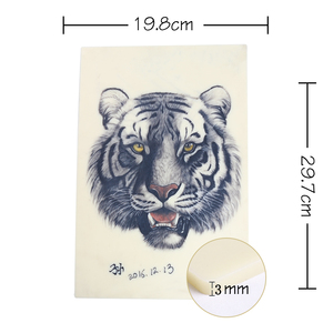 Fournitures de tatouage <span class=keywords><strong>Dragonhawk</strong></span> en gros, 5 unités de peau d'entraînement 18x15x0.3cm - Product Image 3