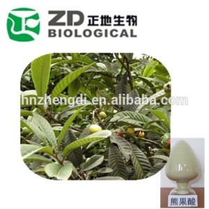 Ligustrum lucidum ait.)/eriobotrya japonica( thunb.) lindl. El ácido ursólico - Product Image 1