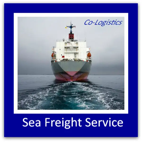Agentes de carga de mar que envían Shangai a México