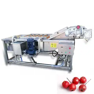 High pressure water spray commercial washing machine coffee bean dried fruit washer