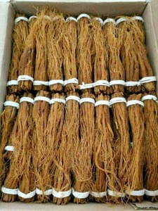 Ginseng Herbal kualitas tinggi \ Ginseng merah Korea - Product Image 3