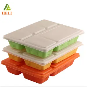 Vacuum Formed Disposable 5 Compartments Blister Plastic Food Trays with Lid