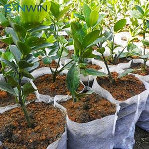 Reciclado no tejido <span class=keywords><strong>planta</strong></span> al por mayor - Product Image 2